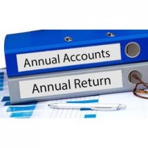 annual return filing